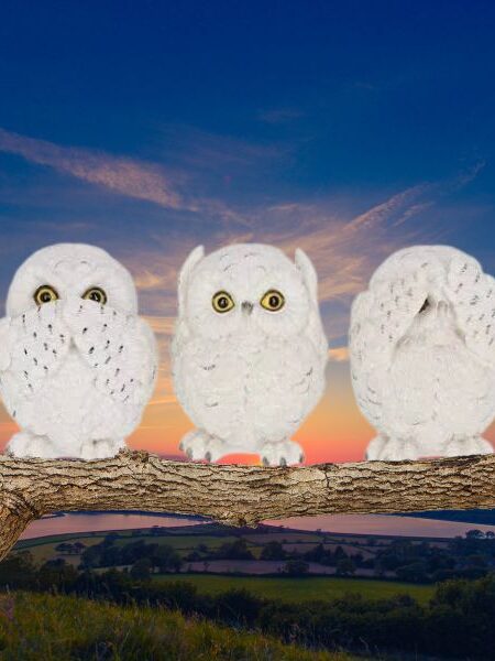 Three Wise Owls Decorative Figurines